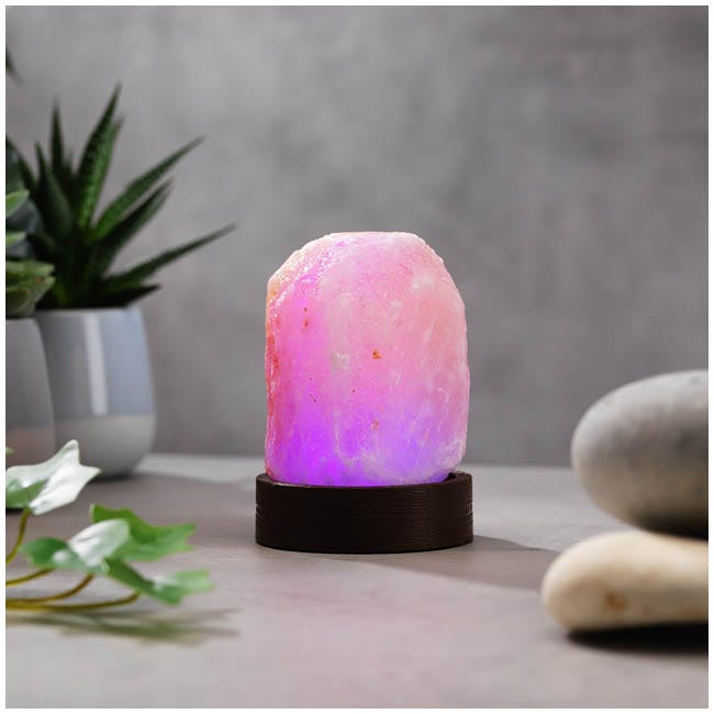 THE SOURCE MINI SALT LAMP