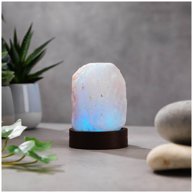 THE SOURCE MINI SALT LAMP