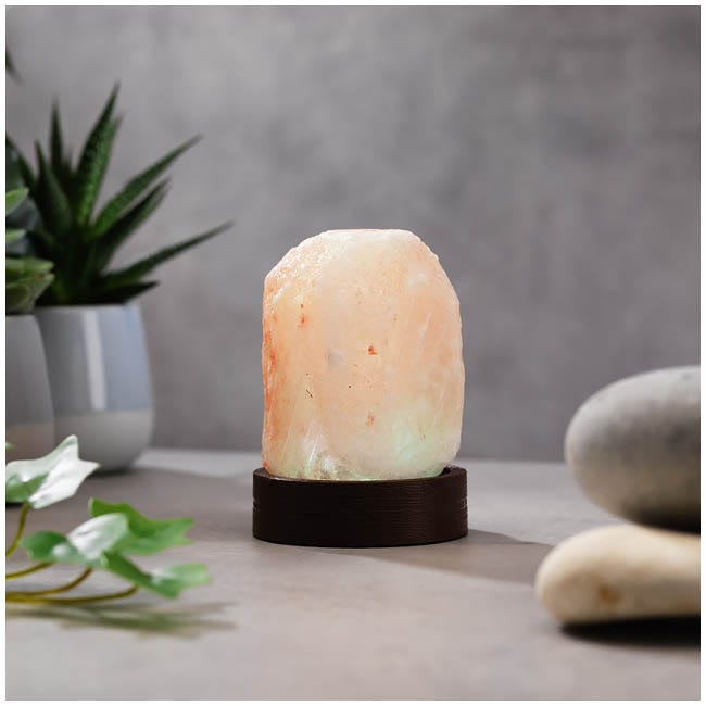 THE SOURCE MINI SALT LAMP
