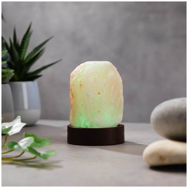 THE SOURCE MINI SALT LAMP
