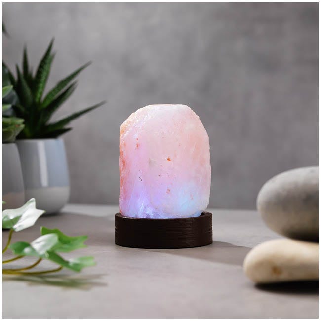 THE SOURCE MINI SALT LAMP