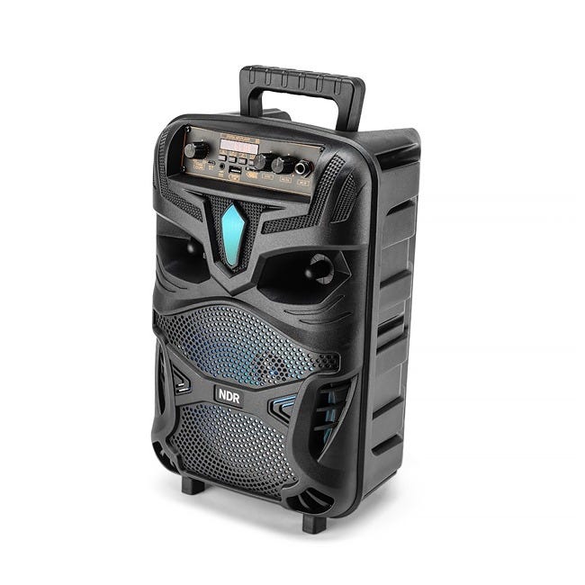 THE SOURCE KARAOKE SPEAKER WITH MIC