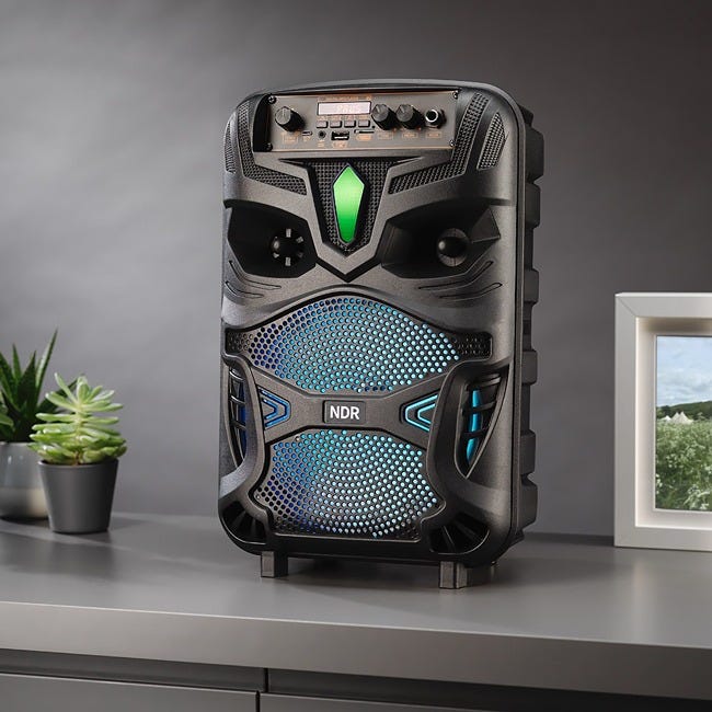 THE SOURCE KARAOKE SPEAKER WITH MIC